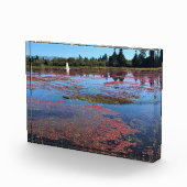 Cranberry Boerderij, Long Beach, Washington Fotoblokken (Rechts)