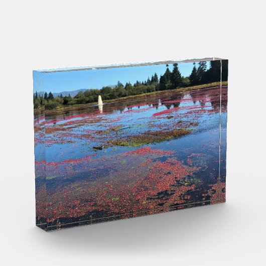Cranberry Boerderij, Long Beach, Washington Fotoblokken (Links)