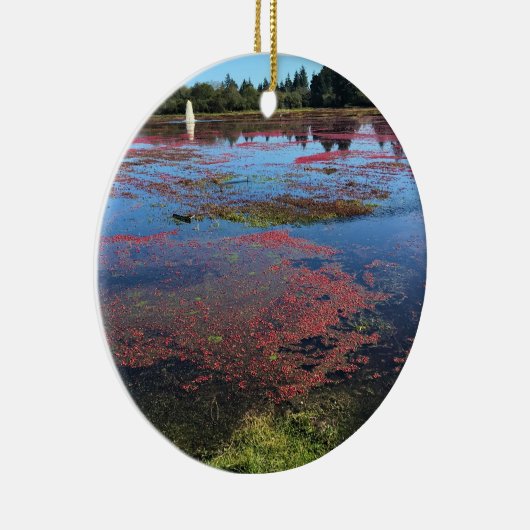 Cranberry Boerderij, Long Beach, Washington Keramisch Ornament (Rechts)