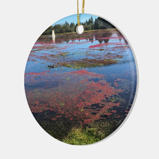 Cranberry Boerderij, Long Beach, Washington Keramisch Ornament (Links)