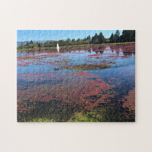 Cranberry Boerderij, Long Beach, Washington Legpuzzel (Horizontaal)