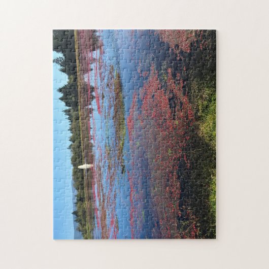 Cranberry Boerderij, Long Beach, Washington Legpuzzel (Verticaal)