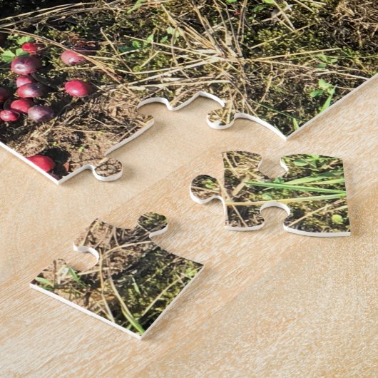 Cranberry Boerderij, Long Beach, Washington Legpuzzel (Zijkant)