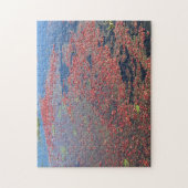 Cranberry Boerderij, Long Beach, Washington Legpuzzel (Verticaal)