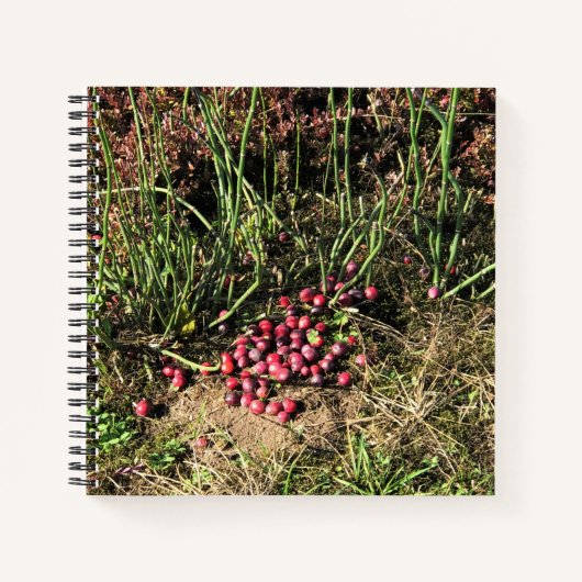 Cranberry Boerderij, Long Beach, Washington Notitieboek (Voorkant)