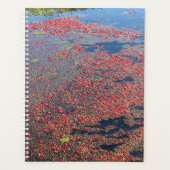 Cranberry Boerderij, Long Beach, Washington Planner (Voorkant)