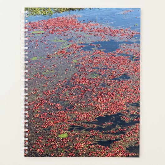 Cranberry Boerderij, Long Beach, Washington Planner (Voorkant)
