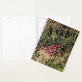 Cranberry Boerderij, Long Beach, Washington Planner (Display)