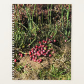 Cranberry Boerderij, Long Beach, Washington Planner (Voorkant)