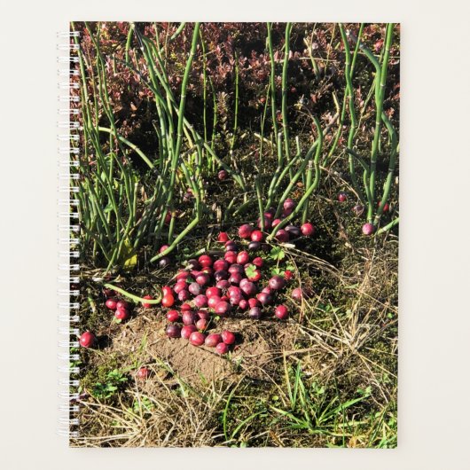 Cranberry Boerderij, Long Beach, Washington Planner (Voorkant)