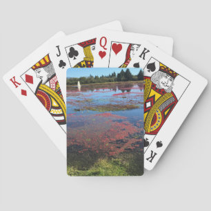 Cranberry Boerderij, Long Beach, Washington Pokerkaarten
