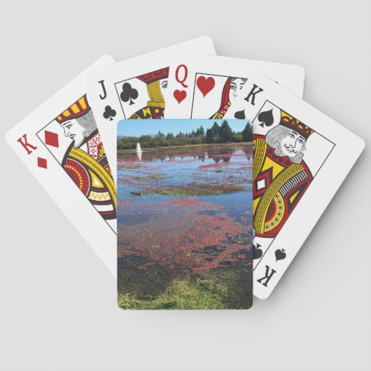 Cranberry Boerderij, Long Beach, Washington Pokerkaarten (Achterkant)