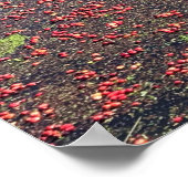 Cranberry Boerderij, Long Beach, Washington Poster (Hoek)