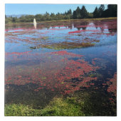 Cranberry Boerderij, Long Beach, Washington Tegeltje (Voorkant)