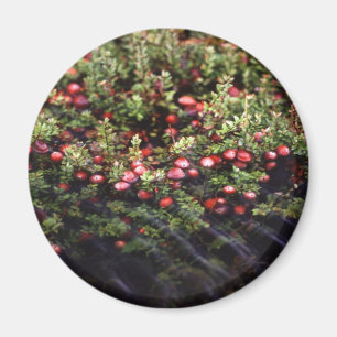 Cranberry Bog Magneet
