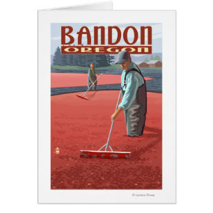 Cranberry Bogs Harvest - Bandon, Oregon