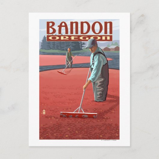 Cranberry Bogs Harvest - Bandon, Oregon Briefkaart (Voorkant)