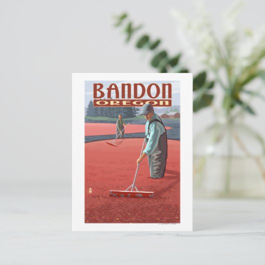 Cranberry Bogs Harvest - Bandon, Oregon Briefkaart (Staand voorkant)