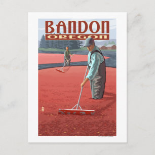 Cranberry Bogs Harvest - Bandon, Oregon Briefkaart