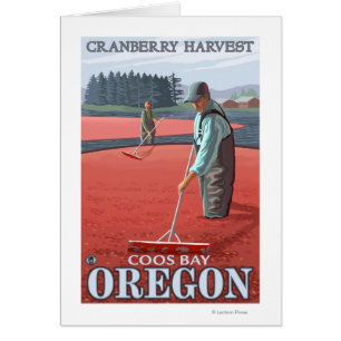 Cranberry Bogs Harvest - Coos Bay, Oregon