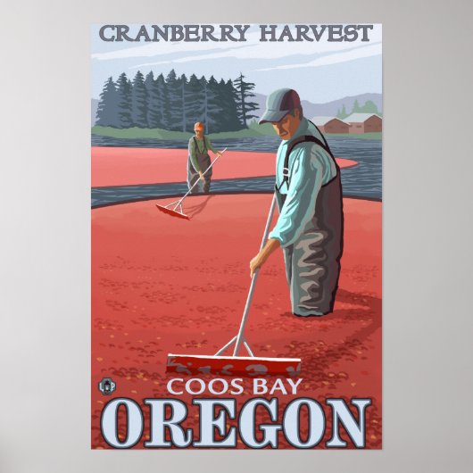 Cranberry Bogs Harvest - Coos Bay, Oregon Poster (Voorkant)