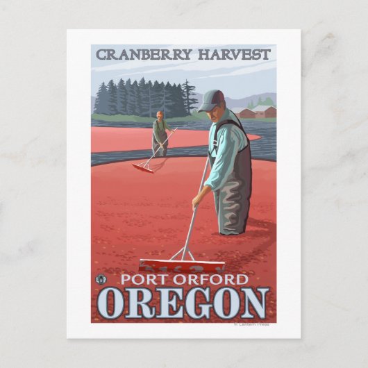 Cranberry Bogs Harvest - Port Orford, Oregon Briefkaart (Voorkant)