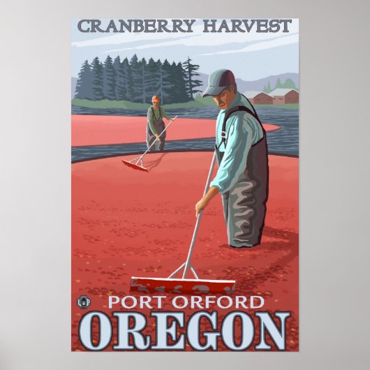 Cranberry Bogs Harvest - Port Orford, Oregon Poster (Voorkant)