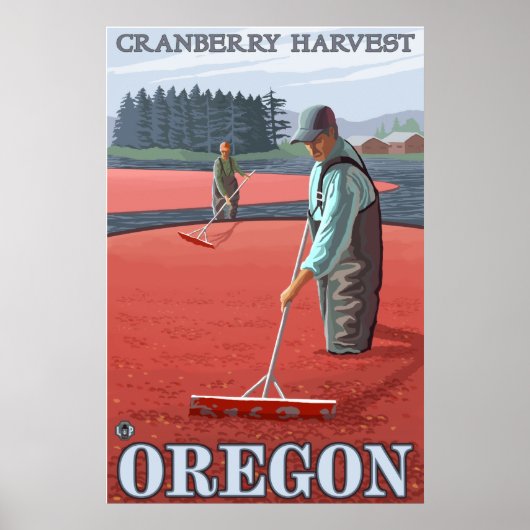 Cranberry Bogs Harvest Poster (Voorkant)