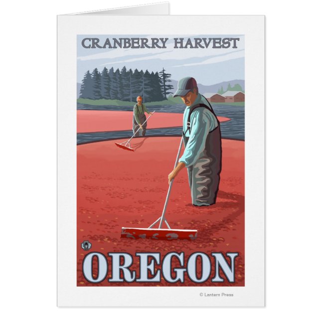 Cranberry Bogs Harvest Vintage Travel Poster (Voorkant)