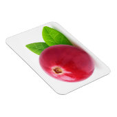 Cranberry Magneet (Rechterzijde)