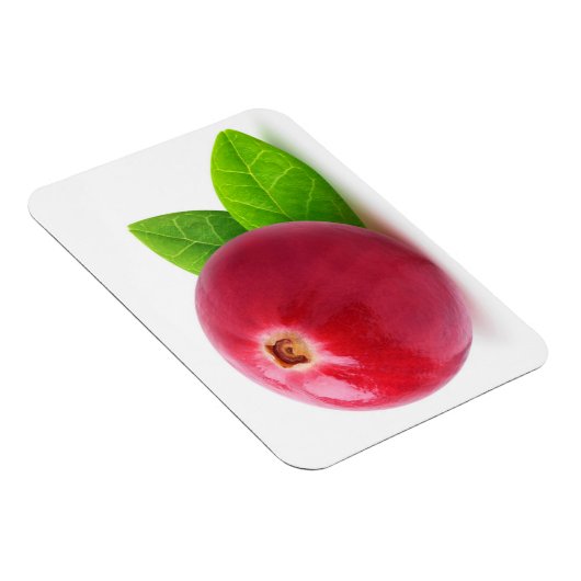 Cranberry Magneet (Rechterzijde)