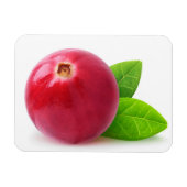 Cranberry Magneet (Horizontaal)