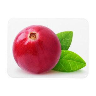 Cranberry Magneet