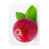 Cranberry Magneet (Verticaal)