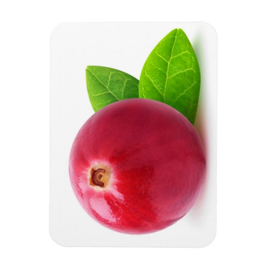 Cranberry Magneet (Verticaal)