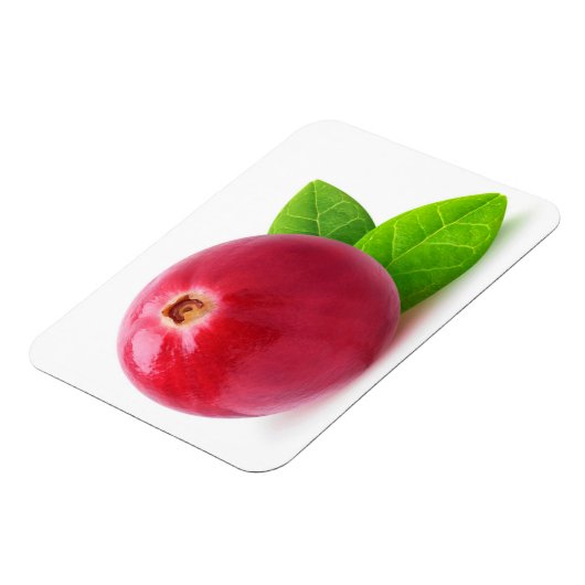 Cranberry Magneet (Linkerzijde)