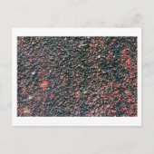 cranberry roeren briefkaart (Voorkant)