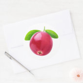 Cranberry Ronde Sticker (Envelop)