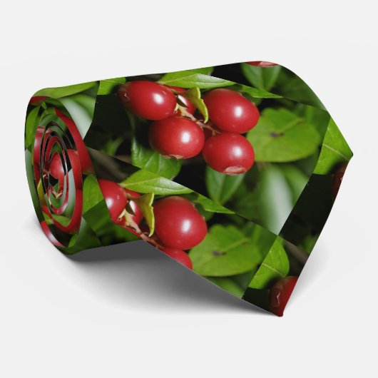 Cranberry Stropdas (Opgerold)