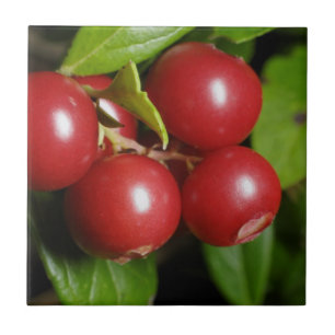 Cranberry Tegeltje