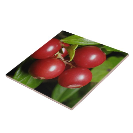 Cranberry Tegeltje (Zijkant)