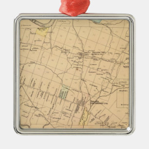 Cranberry Township Metalen Ornament