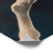 Crandall de clown optreden met zijn muilezel poster (Hoek)