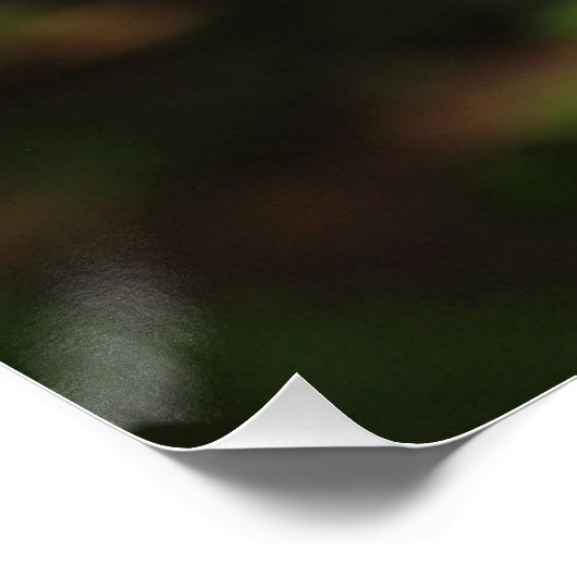 Crane Bird Perfect Poster (Hoek)