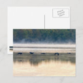 Crane Flight Painterly Briefkaart (Voorkant / Achterkant)