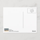 Crane Flight Painterly Briefkaart (Achterkant)