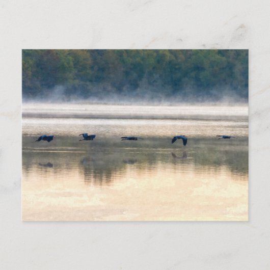 Crane Flight Painterly Briefkaart (Voorkant)