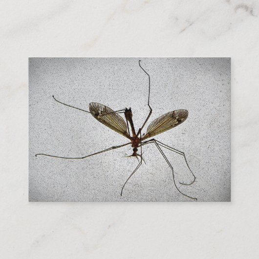 Crane Fly ATC Visitekaartje (Voorkant)