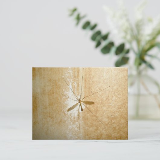 Crane Fly Briefkaart (Staand voorkant)
