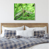 Crane Fly Canvas Print (Insitu (Slaapkamer))